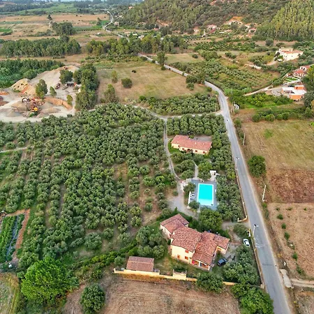 Lejlighed Armandiola