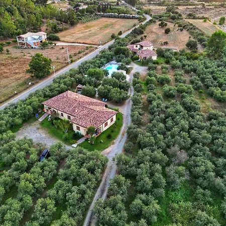 Armandiola * Cardedu