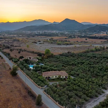 Armandiola *