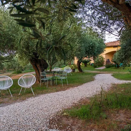 Armandiola * Cardedu