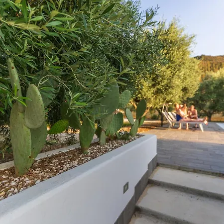 Armandiola Lejlighed Cardedu