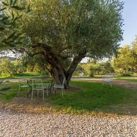 Armandiola * Cardedu