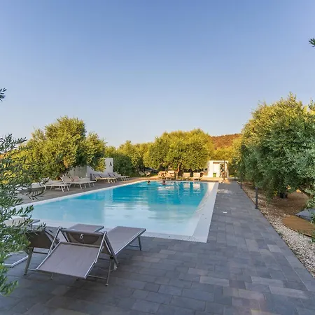 Armandiola * Cardedu