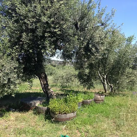 Armandiola Apartment