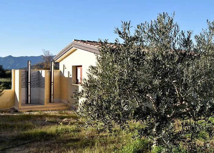 Apartament Armandiola