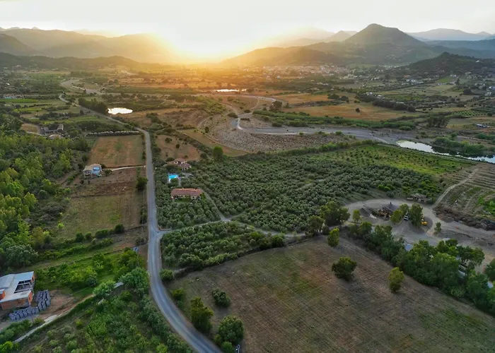 Apartament Armandiola