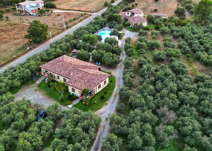 Armandiola * Cardedu