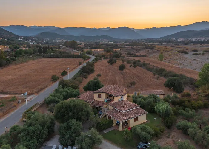 Apartament Armandiola