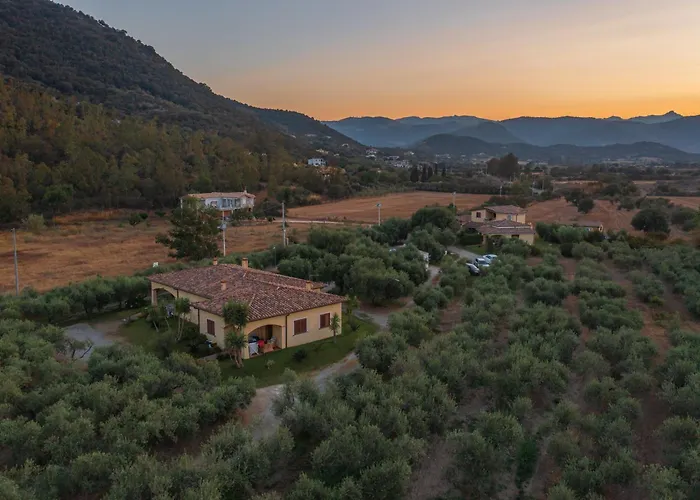 Apartament Armandiola *