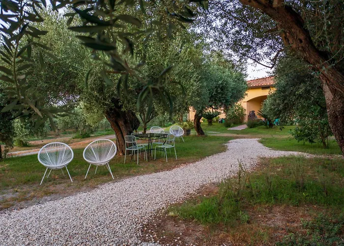 Armandiola * Cardedu