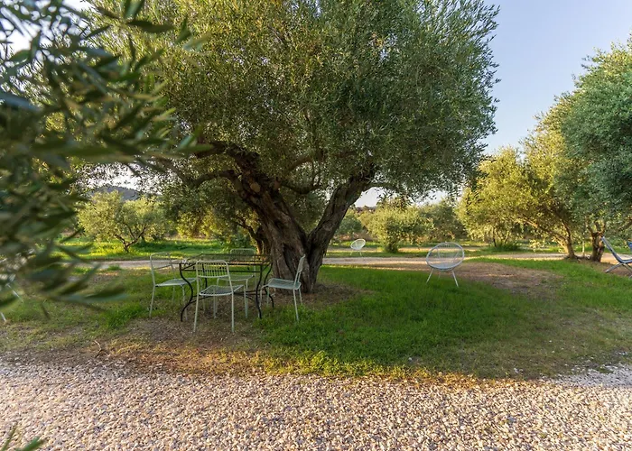 Armandiola * Cardedu