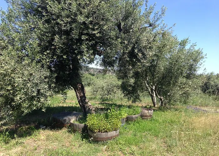 Armandiola Apartament